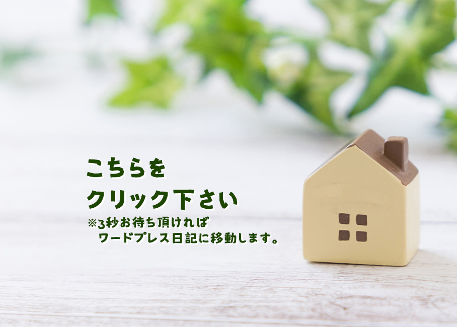 日本初! シワ改善×美白が同時に叶う【リンクルケアファンデーション】 LINOKLE(リノクル)